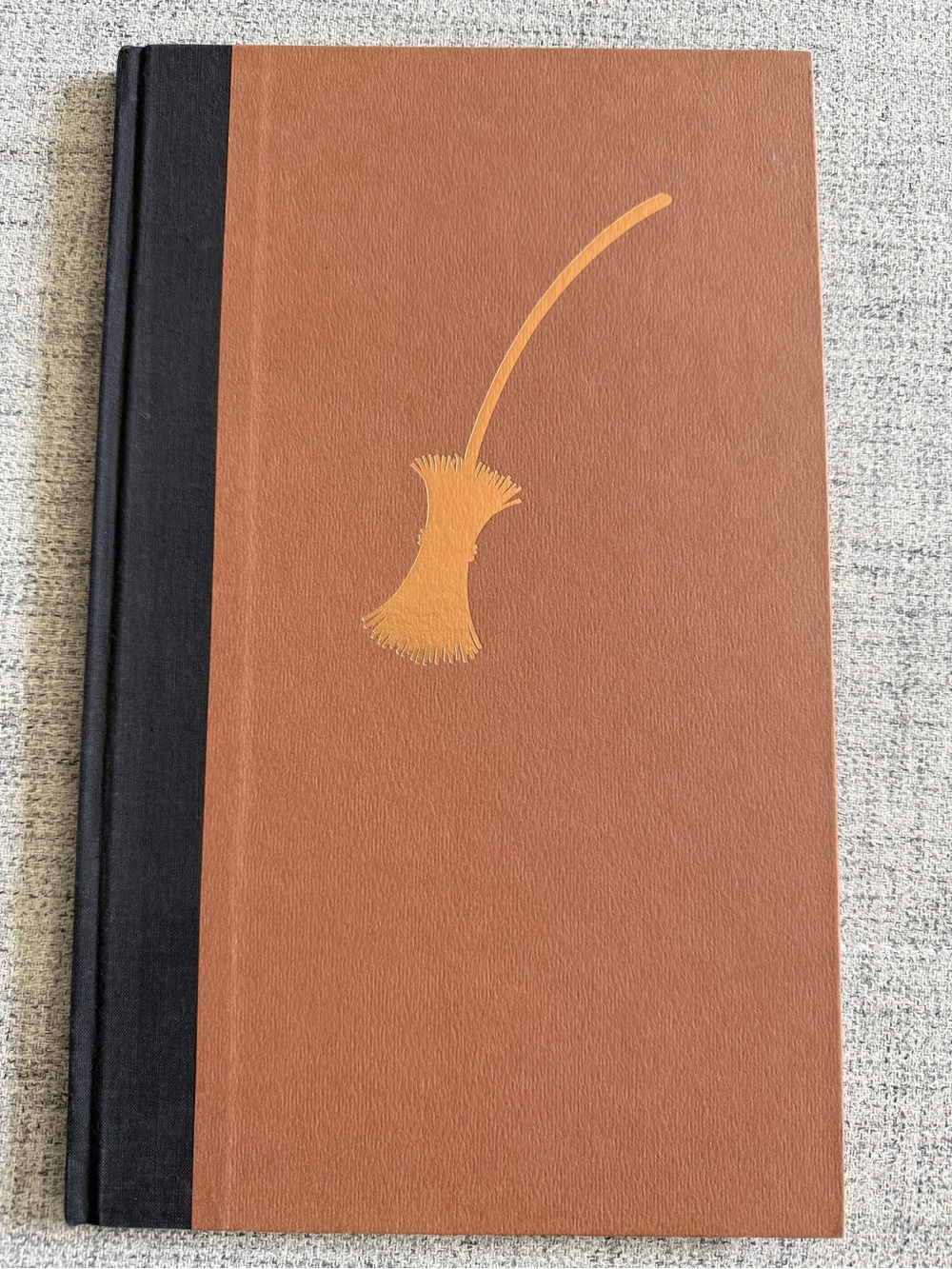 The Widow's Broom by Chris Van Allsburg (1992 Hardcover)
